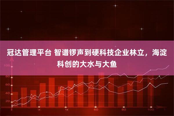 冠达管理平台 智谱锣声到硬科技企业林立，海淀科创的大水与大鱼