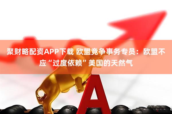 聚财略配资APP下载 欧盟竞争事务专员：欧盟不应“过度依赖”美国的天然气