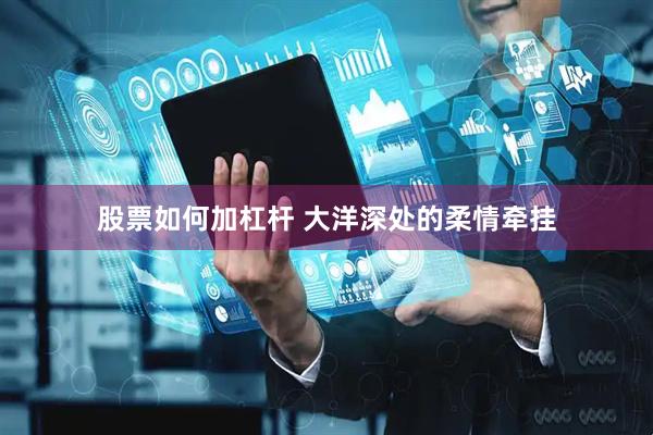 股票如何加杠杆 大洋深处的柔情牵挂